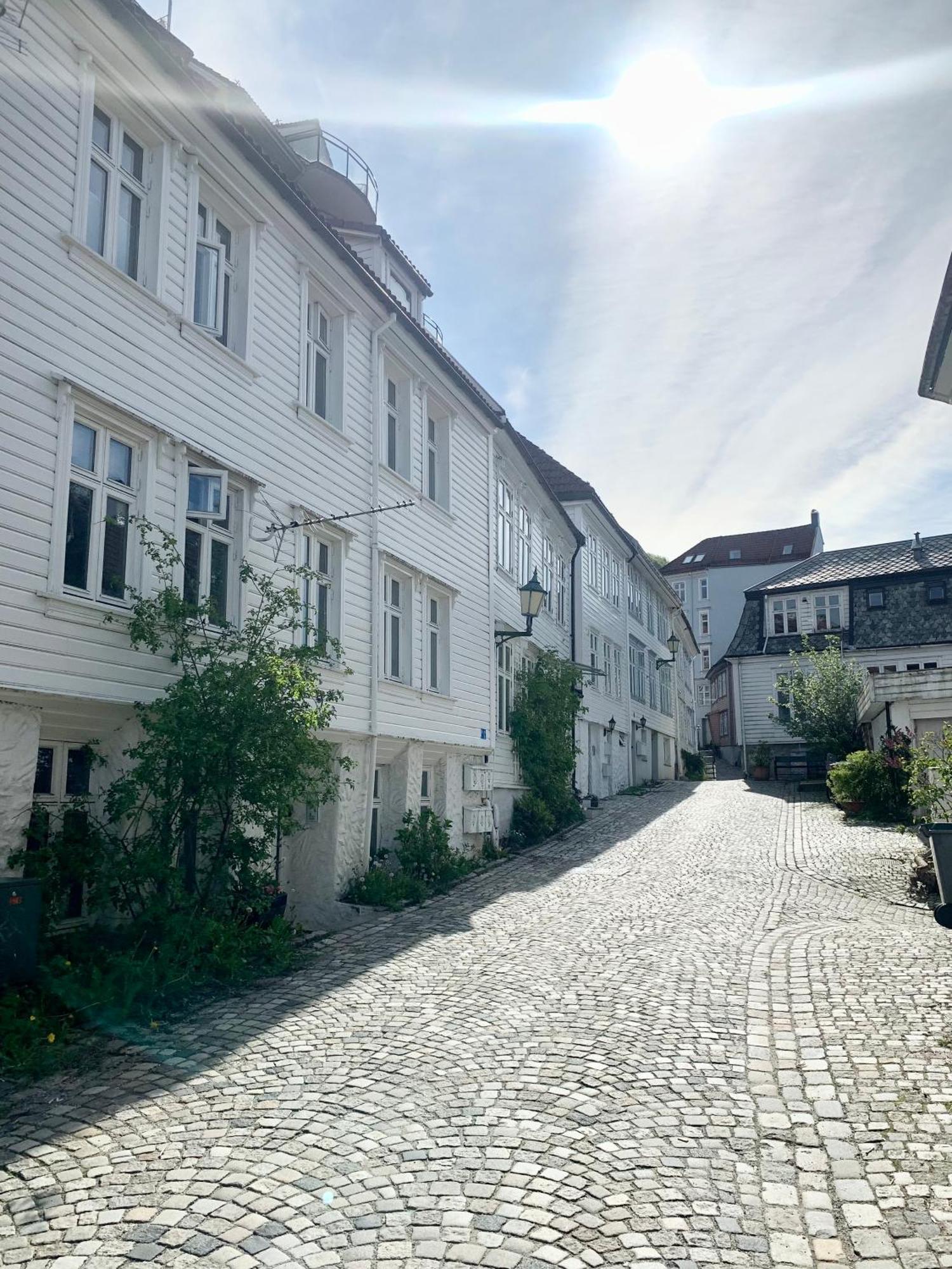 Nedre Stolen Apartment Bergen Esterno foto